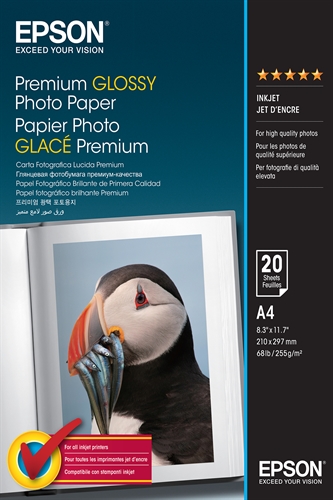 Epson C13S041287 Premium Glossy Photo Paper - A4 - 20 Hojas - Tipología: Fotográfica; Formato: A4 In; Gramaje: 255 Gr/Mq; Acabado: Lucida; Color: Blanca; Unidades Por Paquete: 20; Número De Paquetes: 1