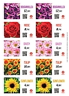 Floralabels OKIMED31 - Adhesivo: Si Tamaño A4 Unidades Por Caja 2500