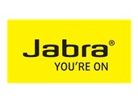 Jabra 8800-01-11 