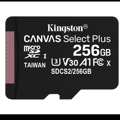 Kingston SDCS2/256GBSP 2566Gb Msd Csplus 100R A1 C10 - Tipología: Micro Sd Xc; Capacidad: 256 Gb; Velocidad De Lectura Max: 100 Mb/S; Velocidad De Escritura Max: 85 Mb/S; Clase: 10