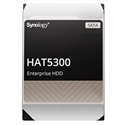 Synology HAT5300-4T - Synology HAT5300 - Disco duro - 4 TB - interno - 3.5'' - SATA 6Gb/s - 7200 rpm - búfer: 25