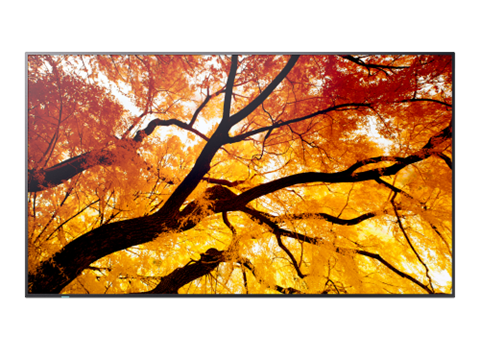 Sharp Multisync M432 Pantalla Plana Para Señalización Digital 108 Cm (42.5") Lcd 550 Cd / M² 4K Ultra Hd Negro