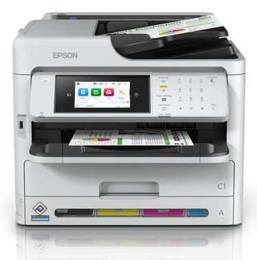 Epson C11CK23401