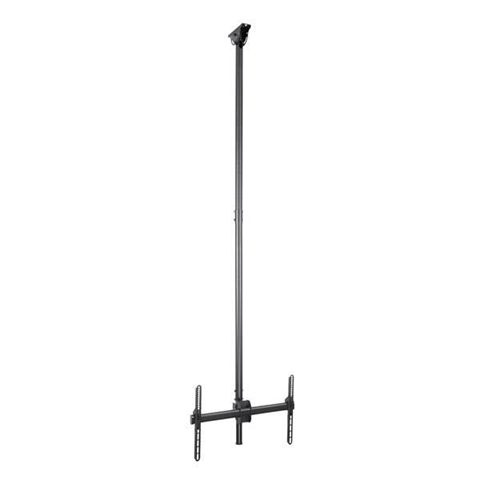 Startech FPCEILPTBLP