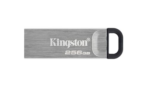 Kingston DTKN/256 GB