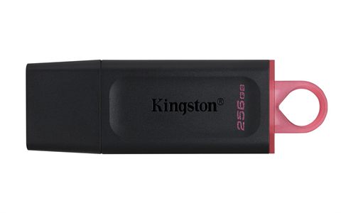 Kingston DTX/256 GB