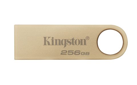 Kingston DTSE9G3/256 GB