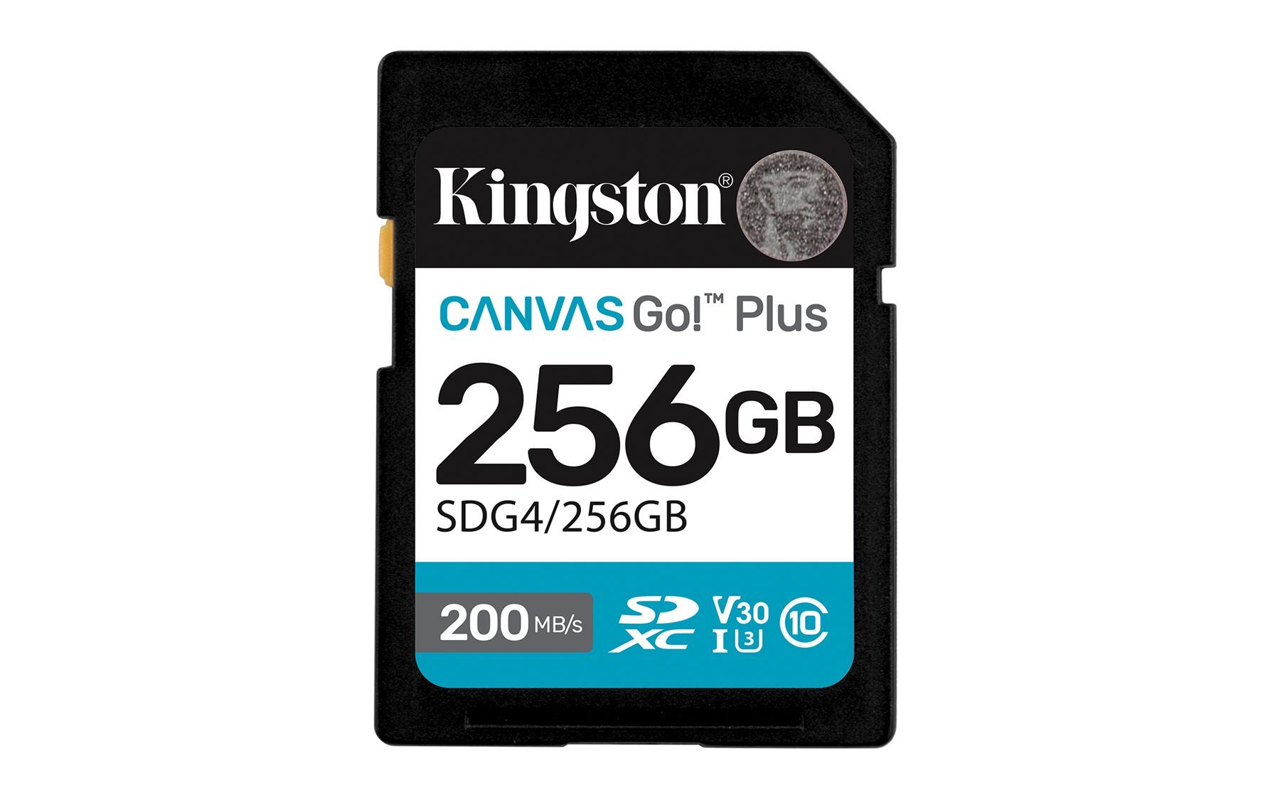 Kingston SDG4/256 GB
