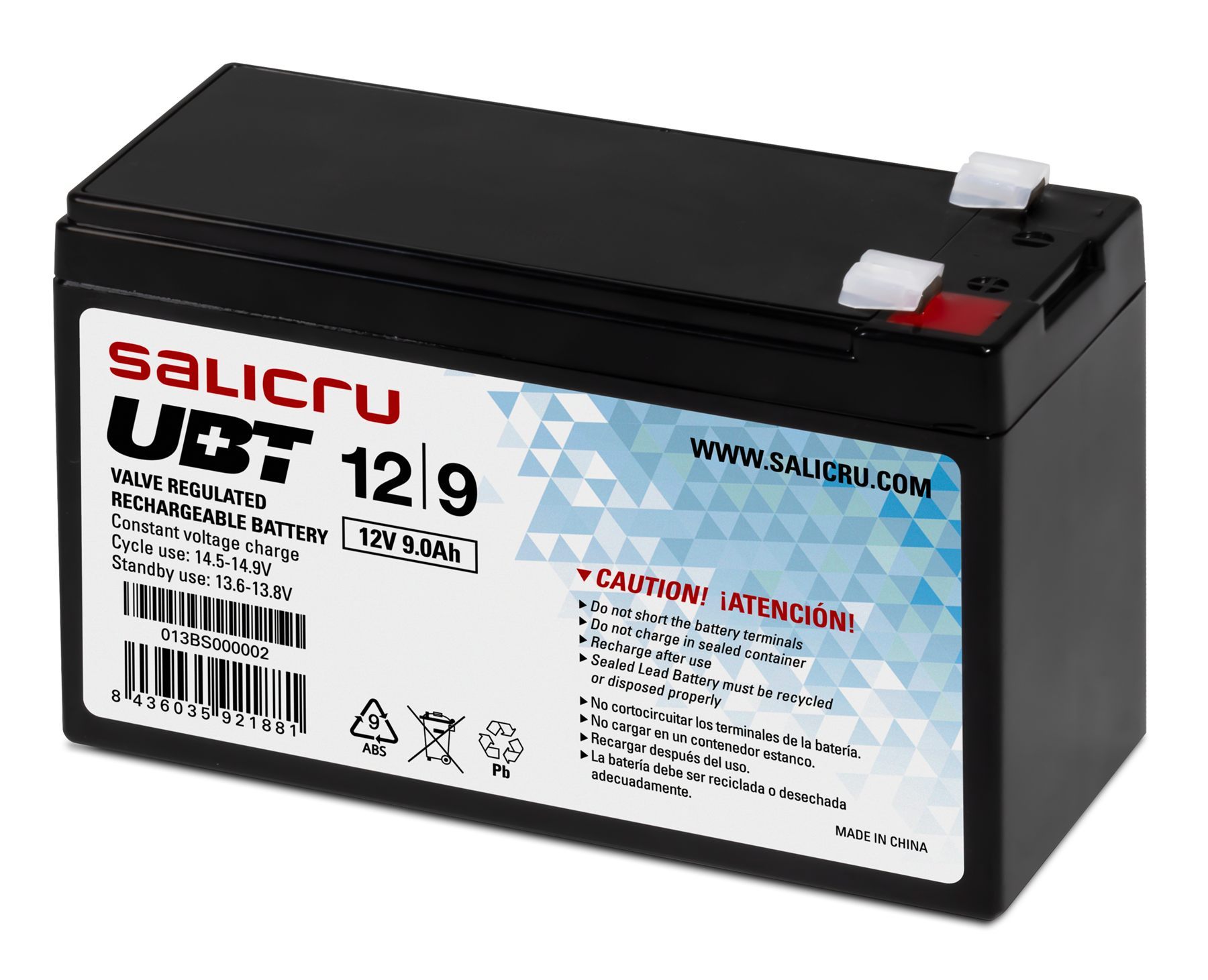 Salicru 013BS000002