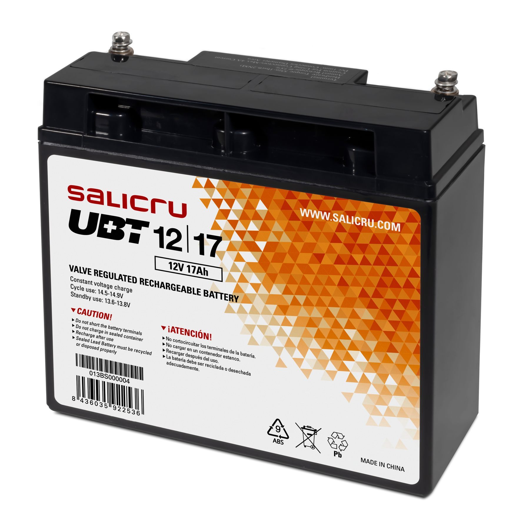 Salicru 013BS000004