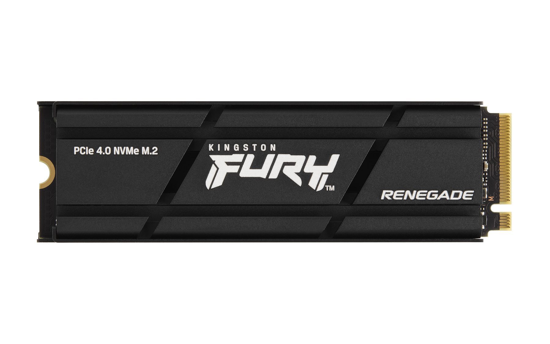 Kingston SFYRSK/1000G