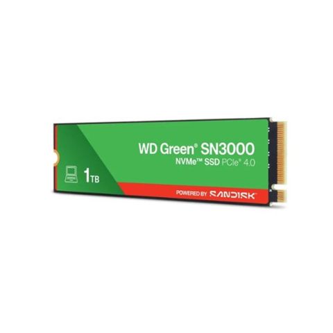 Western Digital WDS100T4G0E-00CPS0