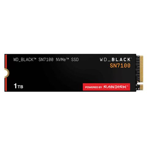 Western Digital WDS100T4X0E-00CJA0