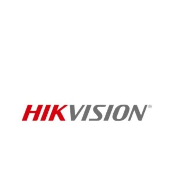 Hikvision SERIESWS-4.2A-B