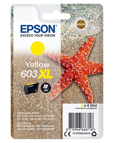 Epson C13T03A44020