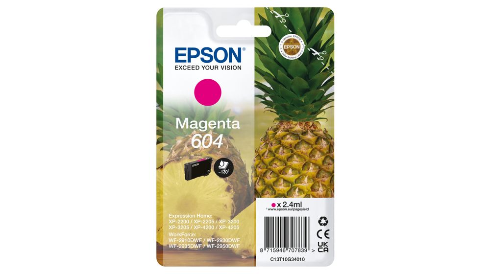 Epson C13T10G34010