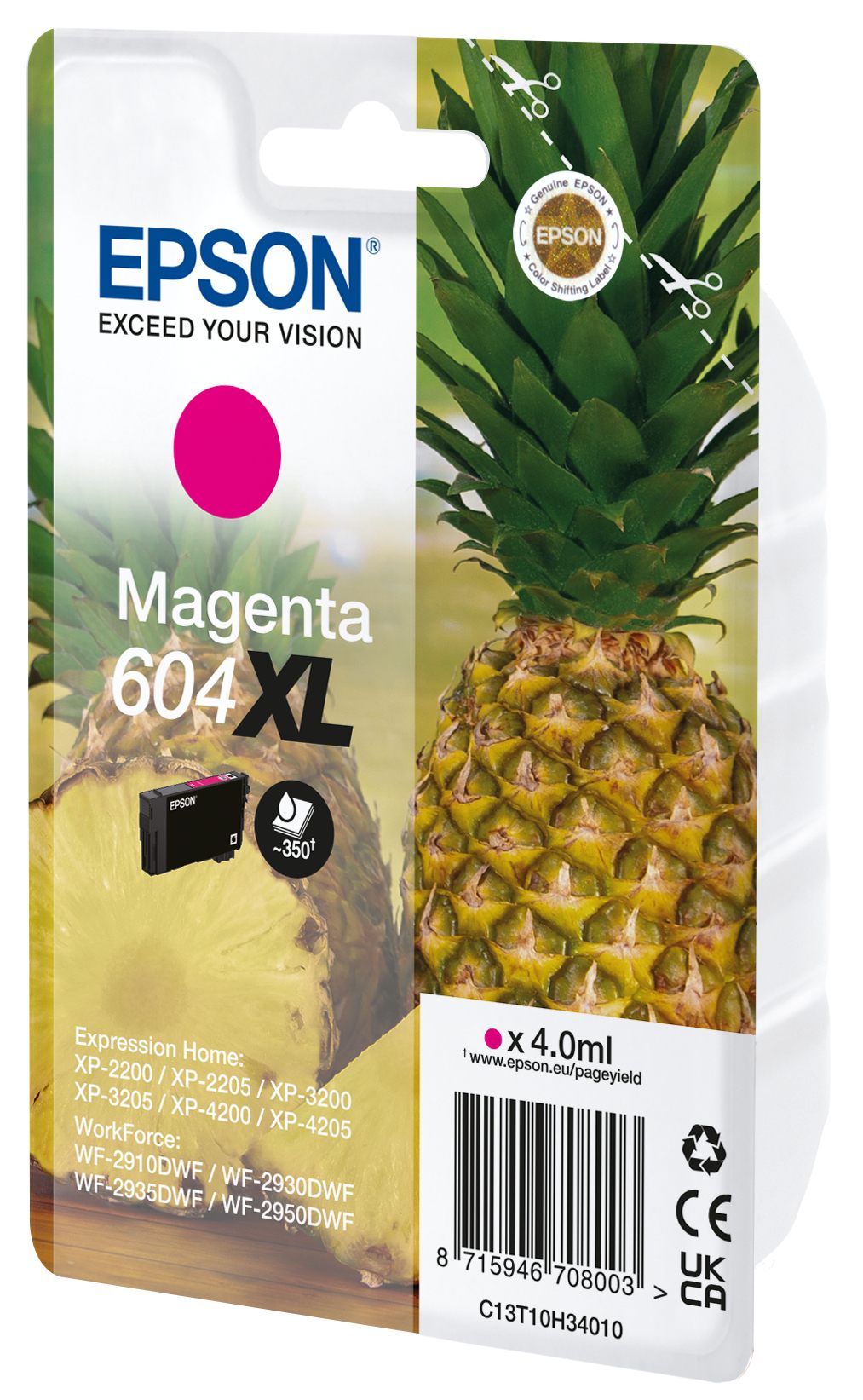 Epson C13T10H34020