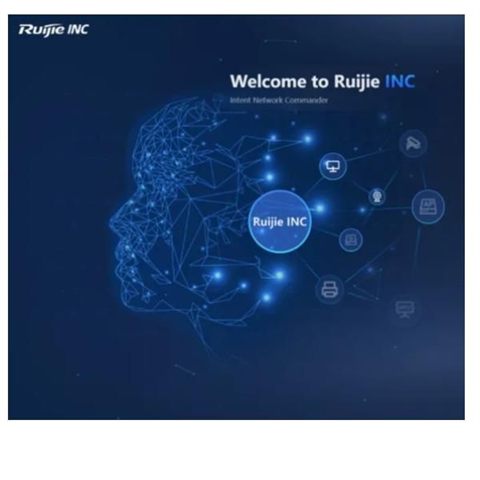 Ruijie Networks RG-INC-PRO-SW-DEVICE-500