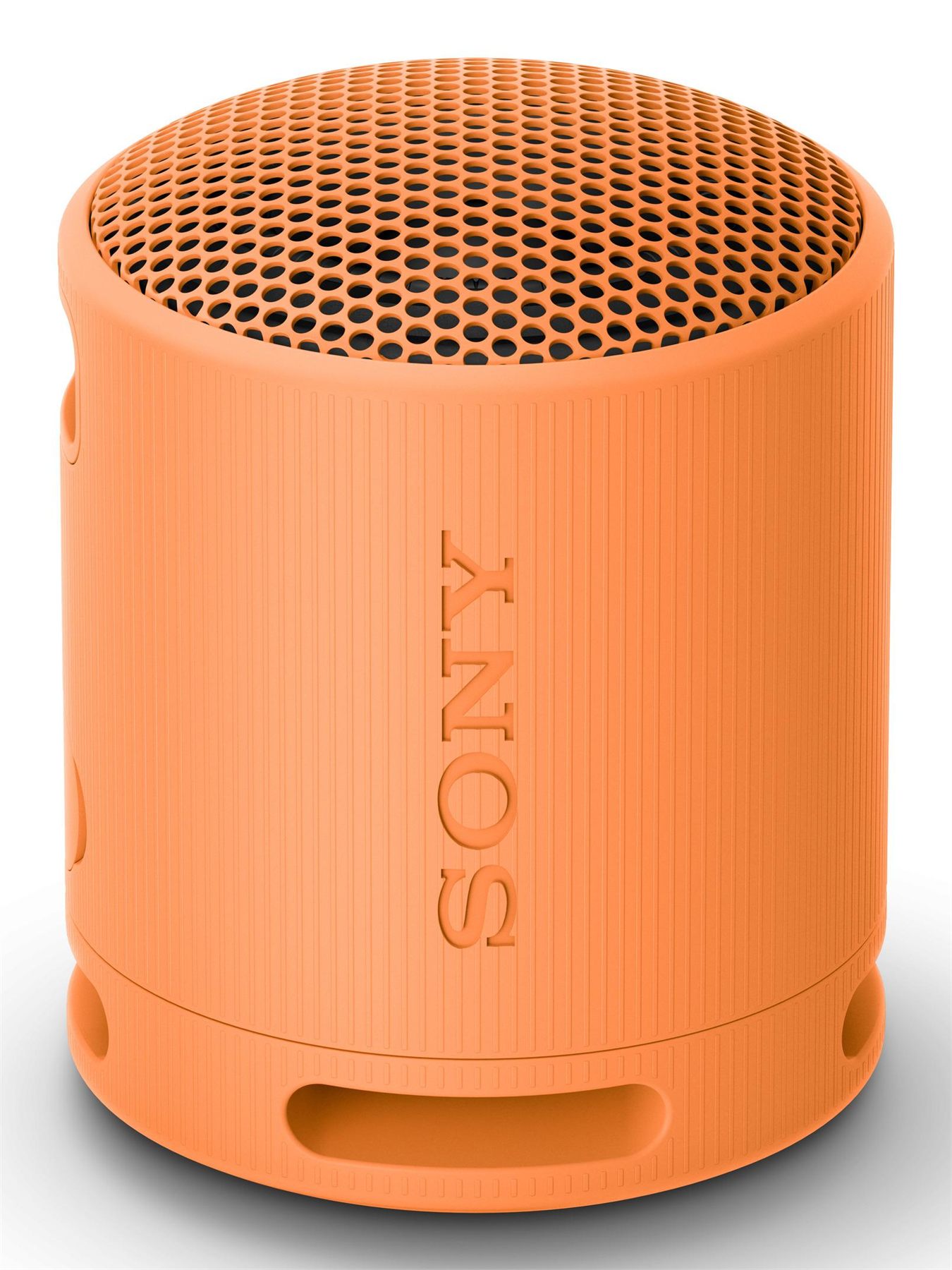 Sony SRSXB100D.CE7