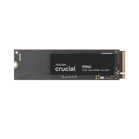 Crucial CT1000P310SSD8