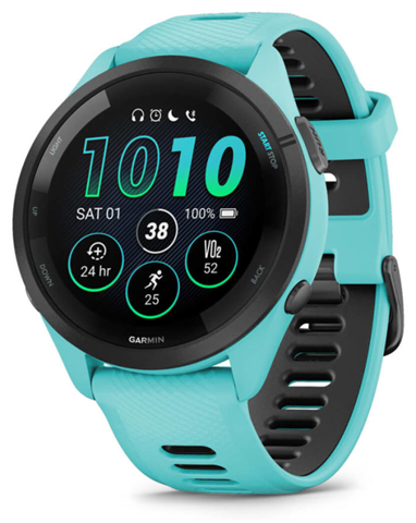 Garmin 010-02810-12