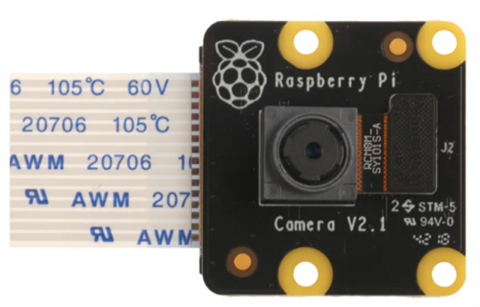 Raspberry Pi Pinoir Camera Module V2.1 Cámara Multicolor