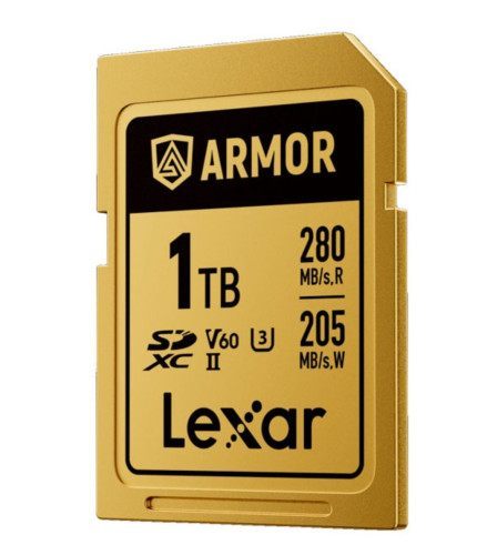 Lexar 1 TB Professional Armor Gold Sdxc Uhs-Ii Cards, Up To 280 MB/S Read 210 MB/S Write C10 V60 U3,Stainless Steel Casing, Ip68