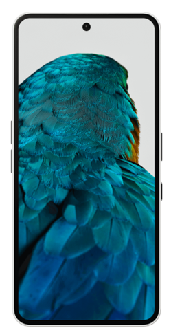 Nothing Phone (3A) Pro 17,2 Cm (6.77") Sim Doble Android 15 5G Usb Tipo C 12 Gb 256 Gb 5000 Mah Negro