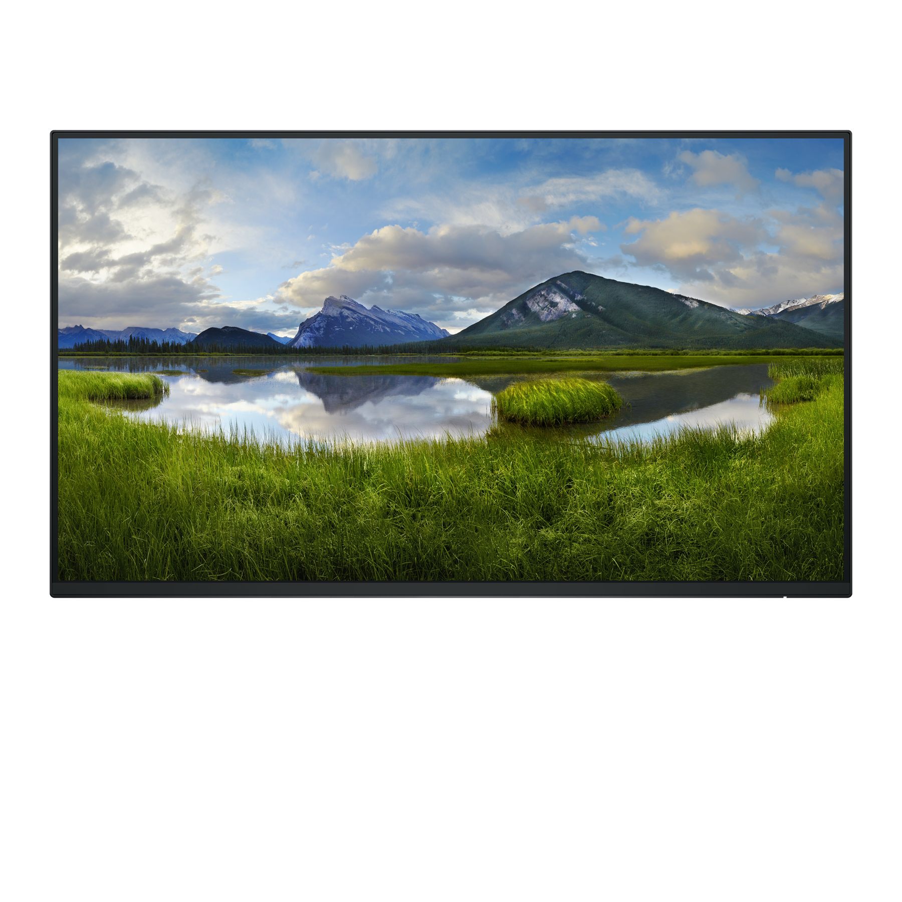Dell Pro 24 Plus Monitor - P2425h Without Stand