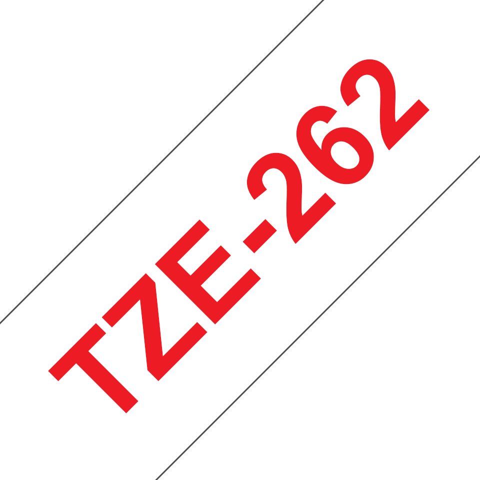 TZe262