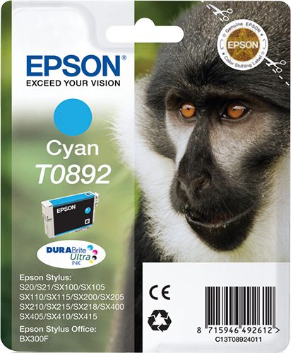 C13T08924011