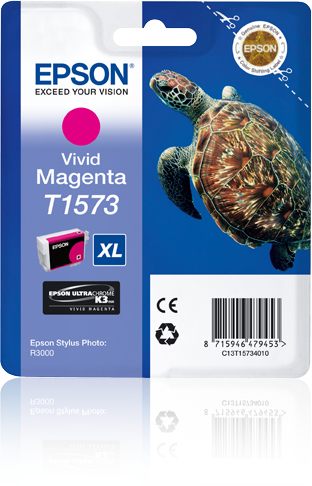 C13T15734010