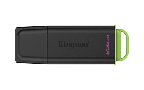 Kingston DTXG2/256GB