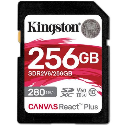 Kingston SDR2V6/256GB