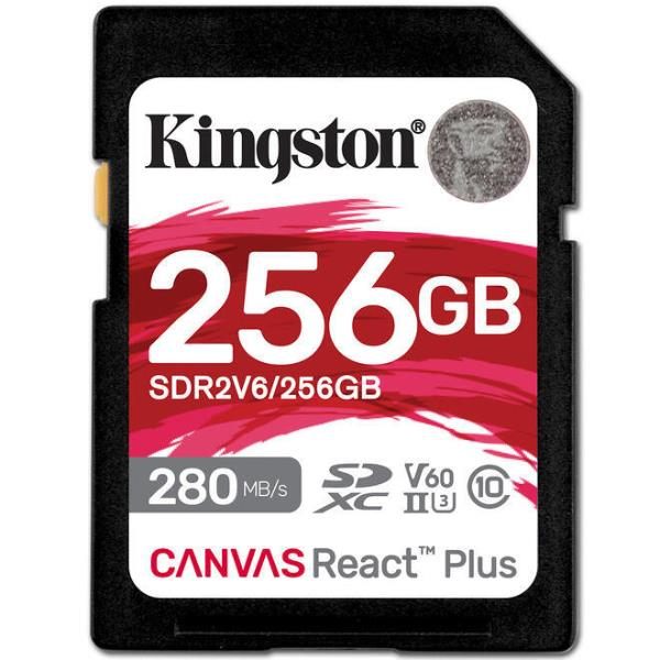 Kingston SDR2V6/256GB
