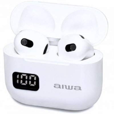 Aiwa EBTW-100WT 