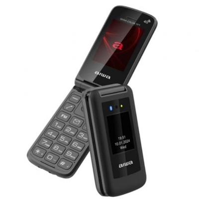 Aiwa FP-30-4G/BK 