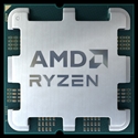100-100001236MPK