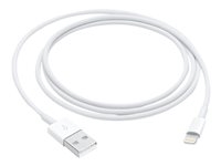 Apple MXLY2ZM/A?ES Apple - Cable Lightning - Lightning macho a USB macho - 1 m