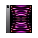 Apple MP1X3TY/A - Ipad Pro 12.9 6Gen Wi-Fi + Cell 128Gb - Space Grey - Tamaño Pantalla: 12,9 ''; Compartimie