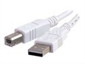 C2g 81562 - C2G - Cable USB - USB (M) a USB Tipo B (M) - USB 2.0 - 3 m - blanco