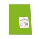 Canson C200040208 - Cartulina Color Verde Billar De 185 G/Mi¿½ Formato A3. Ofrece Dureza Y Regularidad En Su S