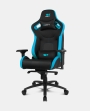 Drift DR600BL Reposabrazos 4DLa DR600 es una silla ergonómica tamaño XL que cuenta con reposabrazos 4D para una comodidad total, pudiéndose ajustar en altura, de izquierda a derecha, hacia delante o hacia atrás y en ángulo lateral. Con esta silla gaming extra wide podrás sentarte como quieras.Diseño extra widePara la máxima resistencia y durabilidad, la DR600 cuenta con una robusta estructura de metal, con foam revestido de poliuretano de alta calidad, pudiendo soportar hasta 150 kilos. Este modelo de Drift es una silla gaming extra ancha: con refuerzos de espuma tanto en el asiento como en el respaldo, la DR600 será tu mejor aliada, garantizando el mayor confort incluso en las largas sesiones de juego.Pistón de gas de clase 4La DR600 asegura la máxima estabilidad y la mayor resistencia. Perfecta para un uso continuado, esta silla para jugar o trabajar cuenta con un pistón de gas de Clase 4 que aguanta las más intensas jornadas de uso.Ruedas silenciosasMuévete como quieras en cualquier superficie gracias a unas ruedas silenciosas de nylon y poliuretano. Las ruedas de 60 mm personalizadas con el logo de Drift se distribuyen en torno a su amplia base, asegurando una total estabilidad.Mecanismo ergonómicoPosee un mecanismo de doble acción con función de balanceo, llamado mecanismo frog, que hace que el peso del cuerpo se distribuya de manera uniforme, lo que ayuda a mantener una postura corporal adecuada.Altura regulableLa DR600 puede ajustarse en altura, adaptándose a la mesa gaming o escritorio sin problemas.Respaldo reclinableJuega, trabaja, estudia o descansa en la postura que quieras gracias a un respaldo reclinable hasta los 135 grados, que podrás bloquear en el ángulo que desees, cuidando así la espalda en todo momento.Apoyo lumbar & cervicalPor otro lado, la Drift DR600 cuenta con cojines lumbar y cervical para asegurar una óptima postura corporal durante horas y horas de juego.