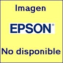 C13T79024010