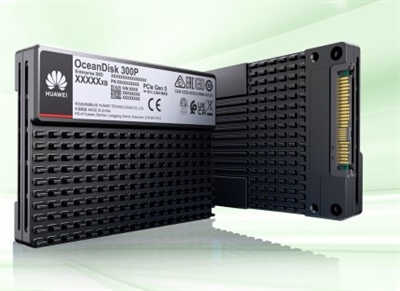 Huawei 02356AYE HUAWEI SSD INTERNO Oceandisk 300P ES3500P V6 STLZW2NVME7680 7.68TB SSD NVMe Disk Unit(2.5),sectorsize-512,V120-YX2e,MTC,BJ,HSSD.