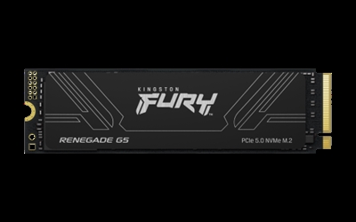 Kingston SFYR2S/2T0 