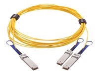 Mellanox MFS1S50-H003E Mellanox - Cable de conexión directa 200GBase - QSFP28 a QSFP28 - 3m - fibra óptica - SFF-8665 - sin halógenos, activo