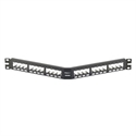 Panduit CPA24BLY - 24 Port All Metal Shielded Angled Patch Panel - 1 Ru - Categoría: Cat.6; Tipo De Panel: Mo
