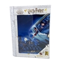 Redstring 35628 - Puzzle-libro de lata lenticular con tamaño 46x31cm Licencia Harry Potter Harry y Ron en el