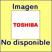 Toshiba 6LJ78113000 